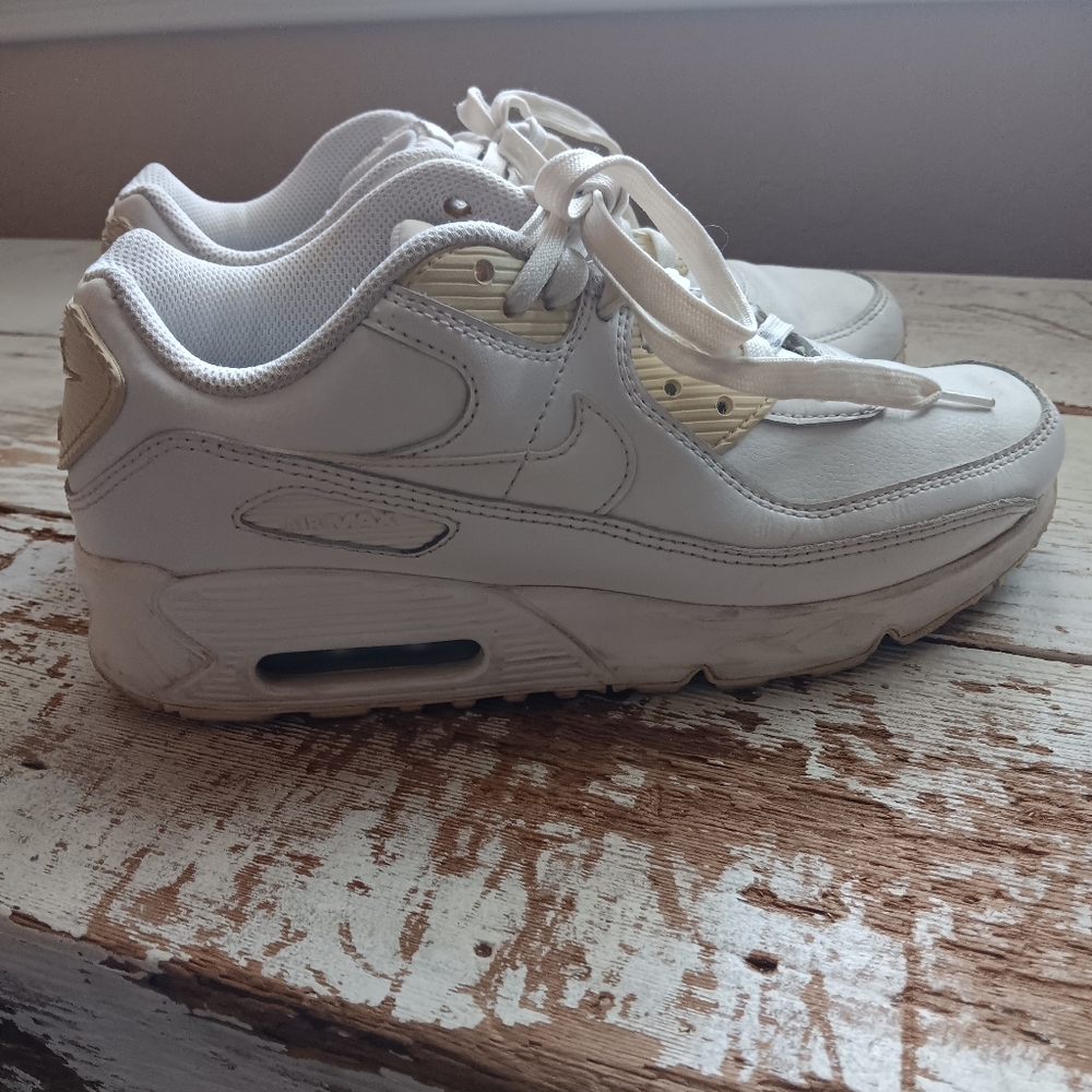 Nike Air Max 90